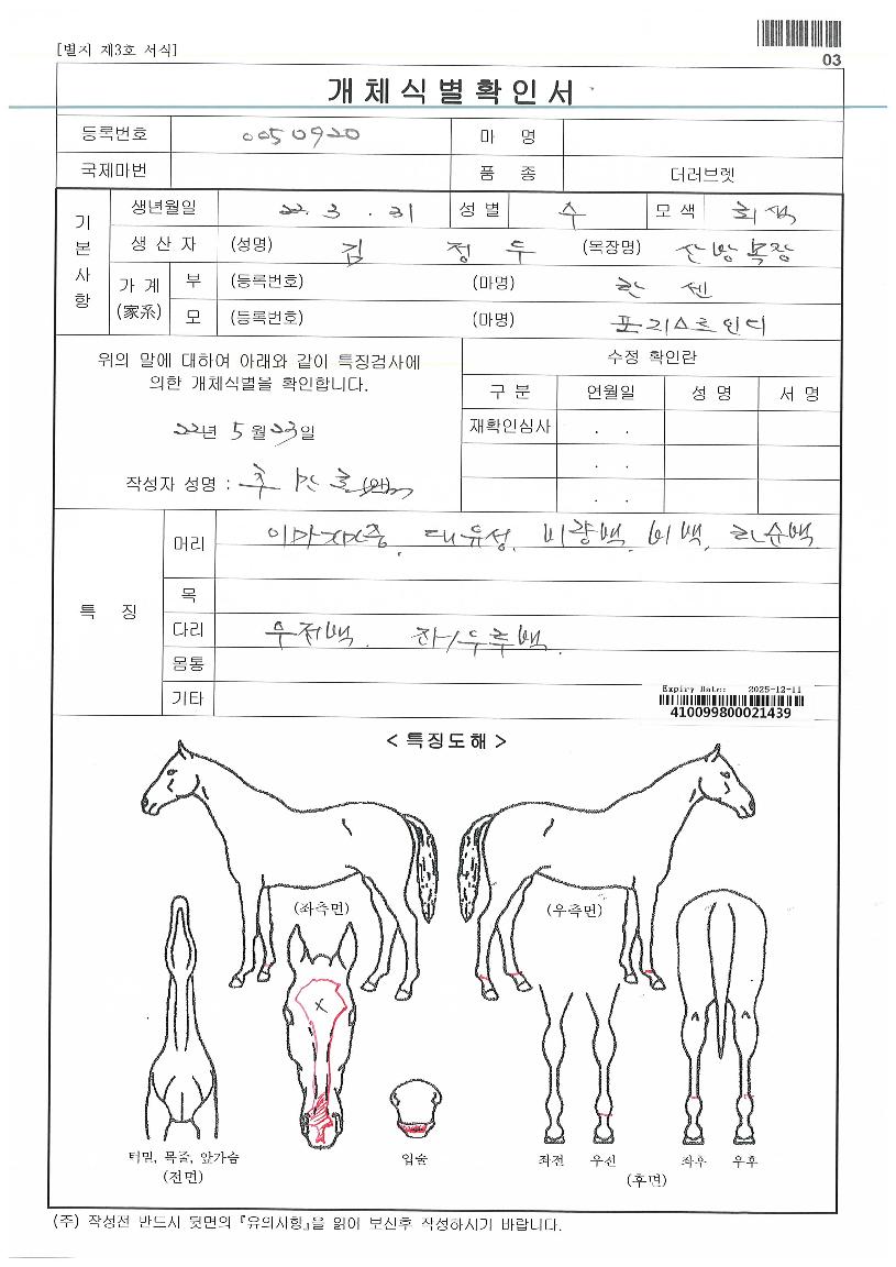 ºÎ°æÆ®¸®ÇÃÀÇ Ãø¸é,¿ì¸é,µÞ¸é,µÎ»ó,´Ù¸®ÀÇ Æ¯Â¡µµÇØ