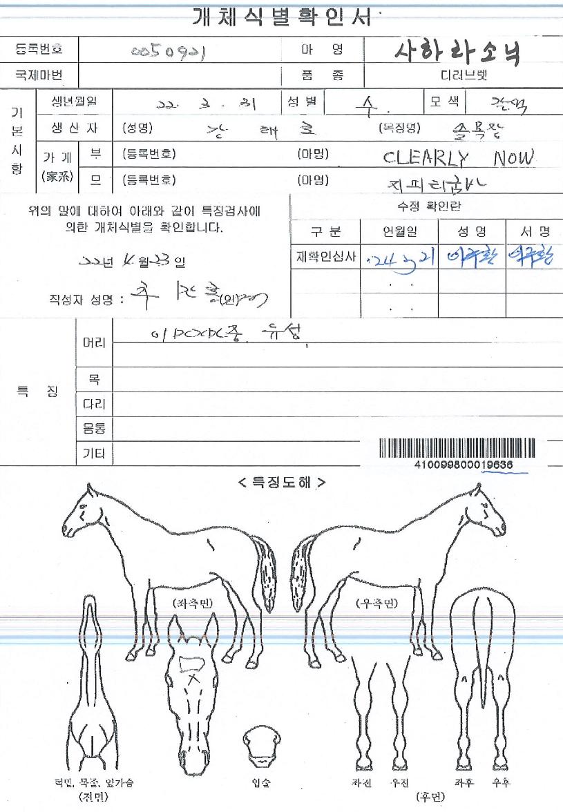 ÆÄÀ̳θÅÄ¡ÀÇ Ãø¸é,¿ì¸é,µÞ¸é,µÎ»ó,´Ù¸®ÀÇ Æ¯Â¡µµÇØ