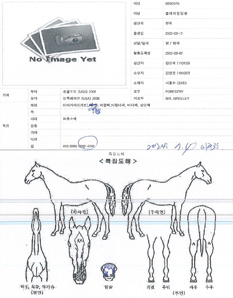 ������¡�޺��� ����,���,�޸�,�λ�,�ٸ��� Ư¡����