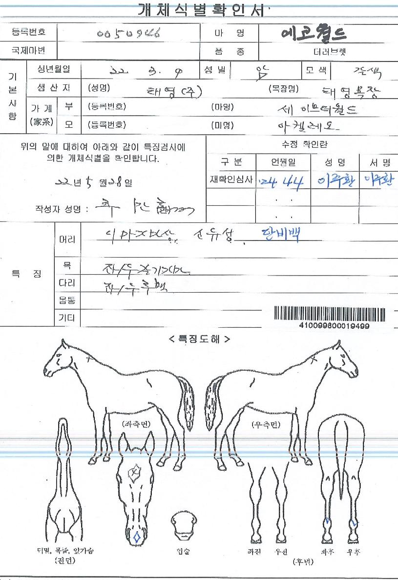 ¿¡ÄÚ¿ùµåÀÇ Ãø¸é,¿ì¸é,µÞ¸é,µÎ»ó,´Ù¸®ÀÇ Æ¯Â¡µµÇØ