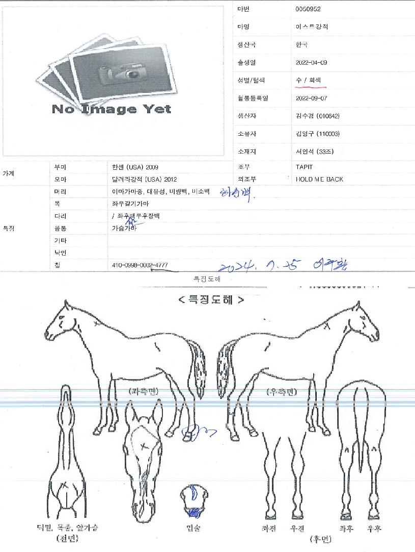 �̽�Ʈ������ ����,���,�޸�,�λ�,�ٸ��� Ư¡����