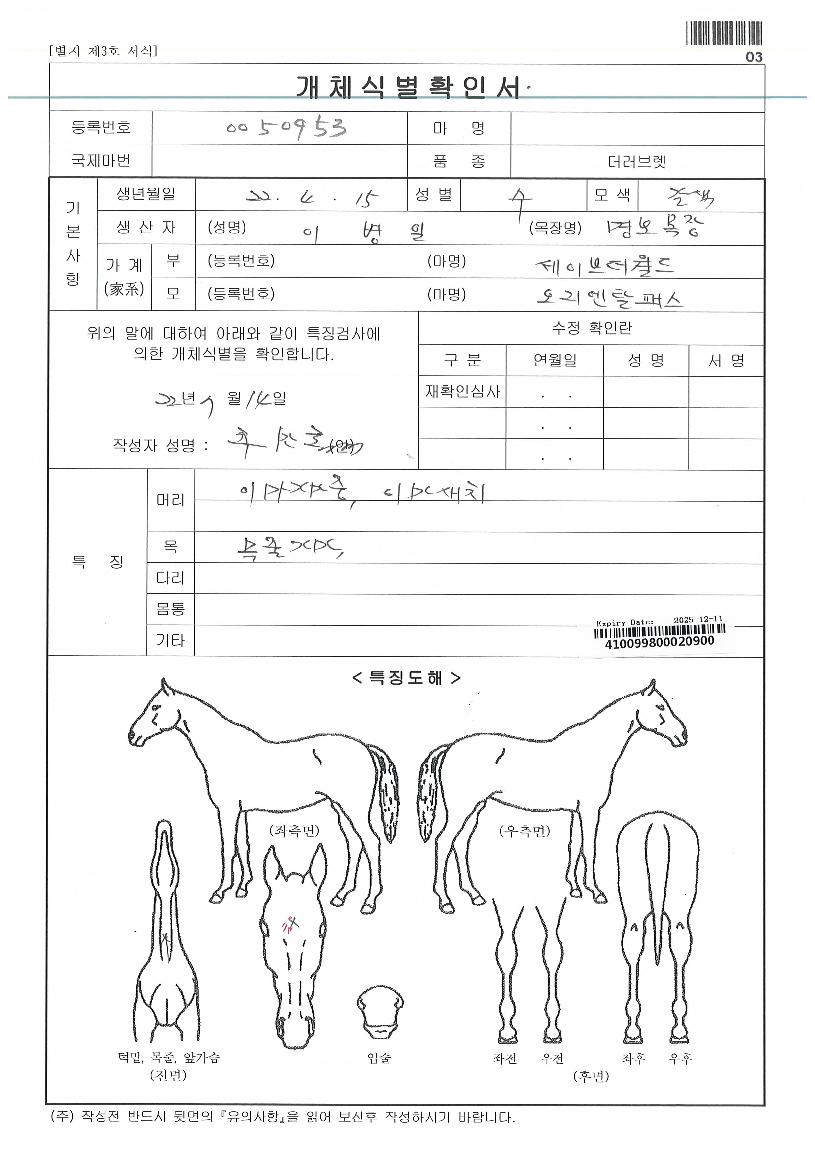 ������Ż�н��ڸ��� ����,���,�޸�,�λ�,�ٸ��� Ư¡����