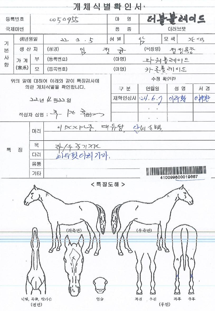 ´õºíºí·¹À̵åÀÇ Ãø¸é,¿ì¸é,µÞ¸é,µÎ»ó,´Ù¸®ÀÇ Æ¯Â¡µµÇØ