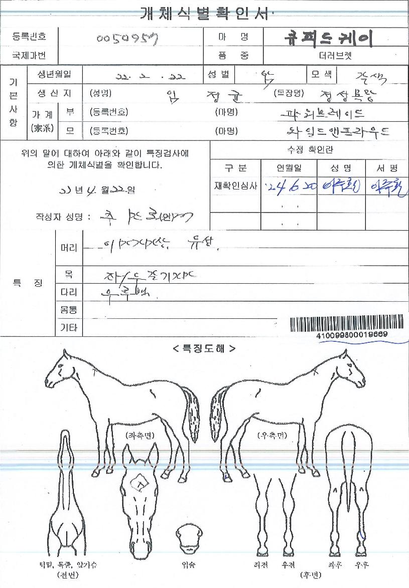 Å¥ÇǵåÄÉÀÌÀÇ Ãø¸é,¿ì¸é,µÞ¸é,µÎ»ó,´Ù¸®ÀÇ Æ¯Â¡µµÇØ