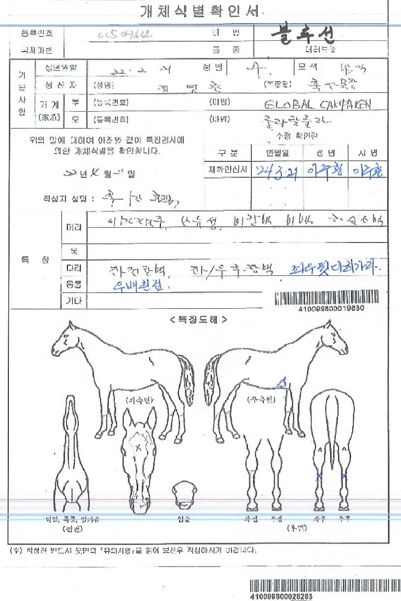 ºí·ç¼±ÀÇ Ãø¸é,¿ì¸é,µÞ¸é,µÎ»ó,´Ù¸®ÀÇ Æ¯Â¡µµÇØ