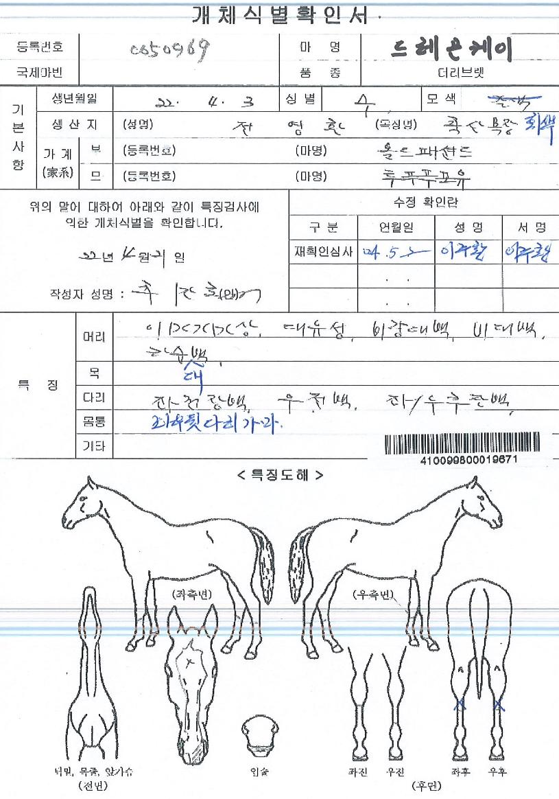 µå·¡°ïÄÉÀÌÀÇ Ãø¸é,¿ì¸é,µÞ¸é,µÎ»ó,´Ù¸®ÀÇ Æ¯Â¡µµÇØ