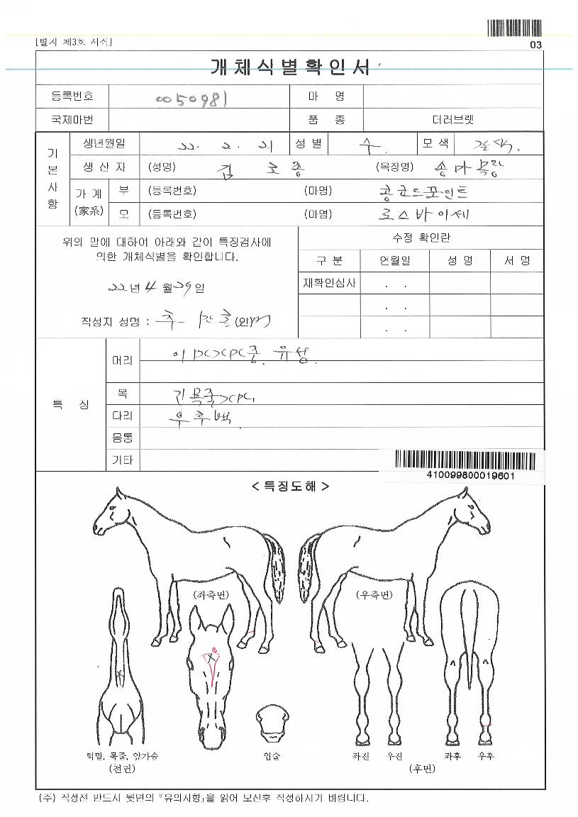 ���̼�ŷ�� ����,���,�޸�,�λ�,�ٸ��� Ư¡����