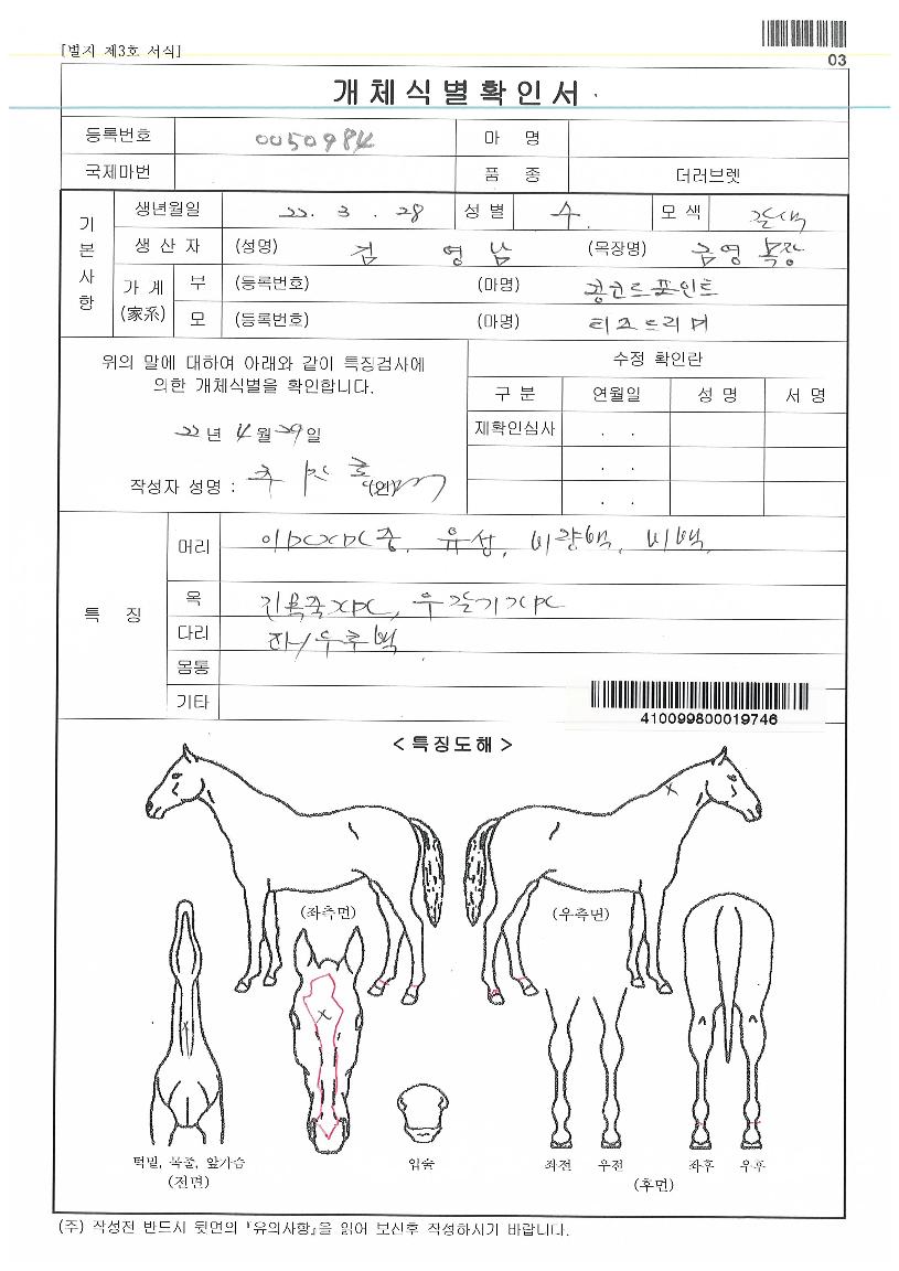 ¸¶Åë·ÉÀÇ Ãø¸é,¿ì¸é,µÞ¸é,µÎ»ó,´Ù¸®ÀÇ Æ¯Â¡µµÇØ