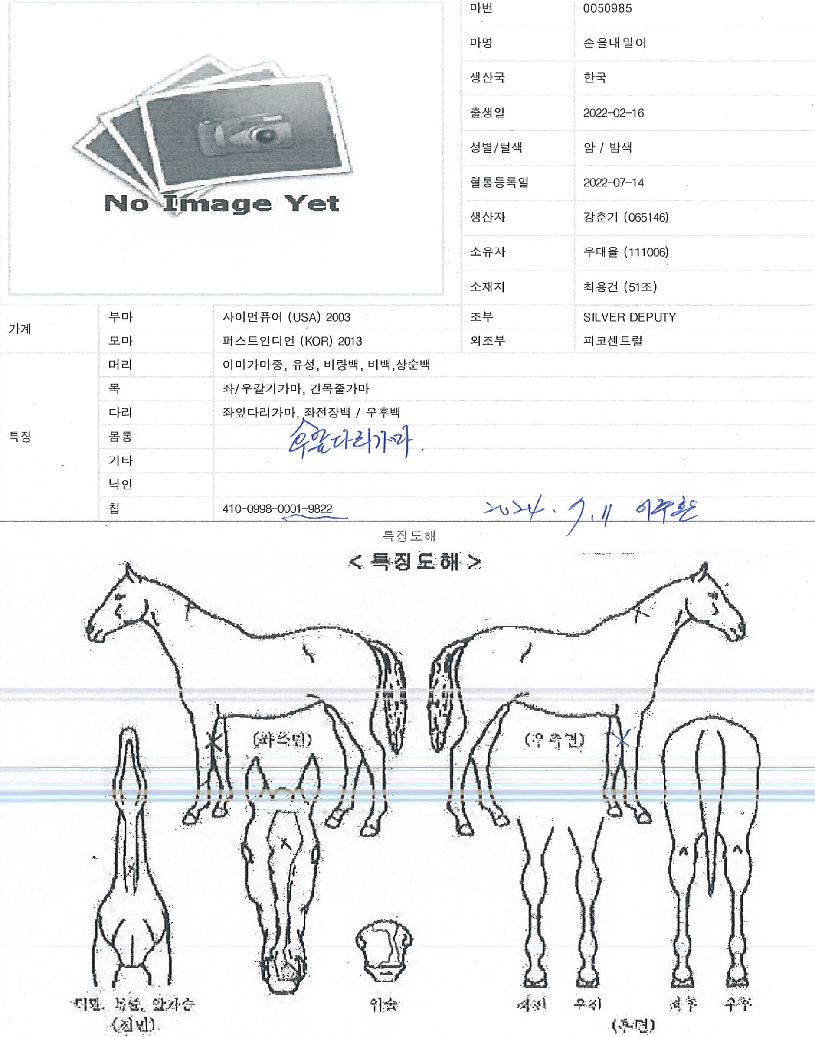 ¼ÕÀ»³»¹Ð¾îÀÇ Ãø¸é,¿ì¸é,µÞ¸é,µÎ»ó,´Ù¸®ÀÇ Æ¯Â¡µµÇØ