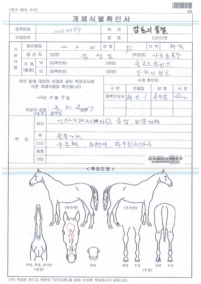 °¨µ¿Àǹ°°áÀÇ Ãø¸é,¿ì¸é,µÞ¸é,µÎ»ó,´Ù¸®ÀÇ Æ¯Â¡µµÇØ