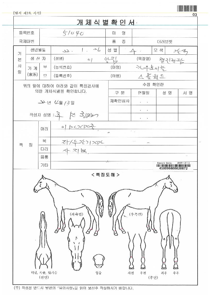 ½º¸ô¿ùµåÀÚ¸¶ÀÇ Ãø¸é,¿ì¸é,µÞ¸é,µÎ»ó,´Ù¸®ÀÇ Æ¯Â¡µµÇØ