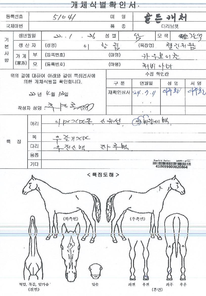 °ñµåijóÀÇ Ãø¸é,¿ì¸é,µÞ¸é,µÎ»ó,´Ù¸®ÀÇ Æ¯Â¡µµÇØ