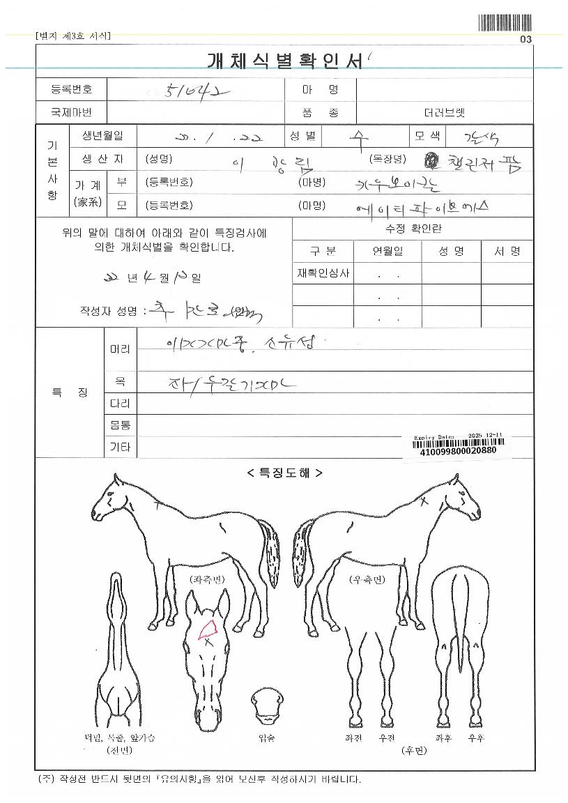 �긮������Ʈ�� ����,���,�޸�,�λ�,�ٸ��� Ư¡����