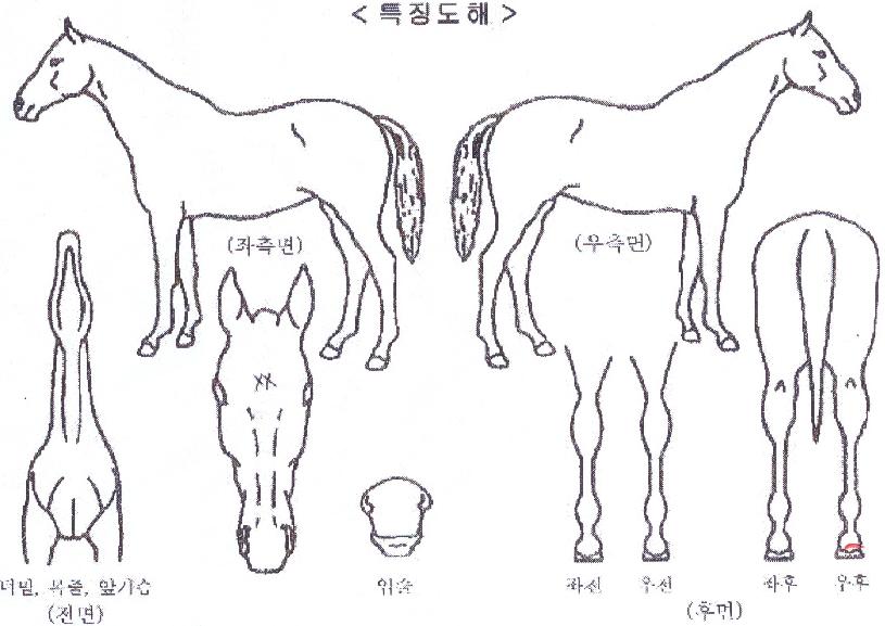 ���ƽý������� ����,���,�޸�,�λ�,�ٸ��� Ư¡����