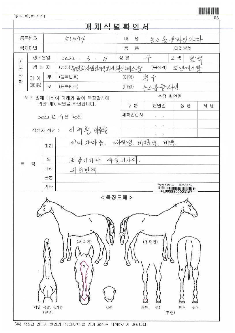 ³í½ºÅéÇöóÀ×ÀÚ¸¶ÀÇ Ãø¸é,¿ì¸é,µÞ¸é,µÎ»ó,´Ù¸®ÀÇ Æ¯Â¡µµÇØ