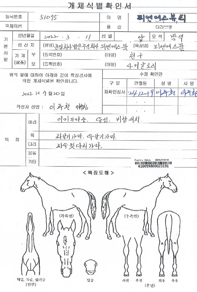 �ǿ�������Ƽ�� ����,���,�޸�,�λ�,�ٸ��� Ư¡����