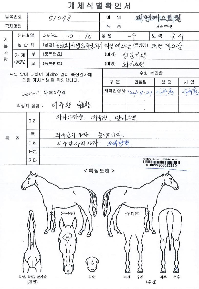 �ǿ�����Ʈ���� ����,���,�޸�,�λ�,�ٸ��� Ư¡����