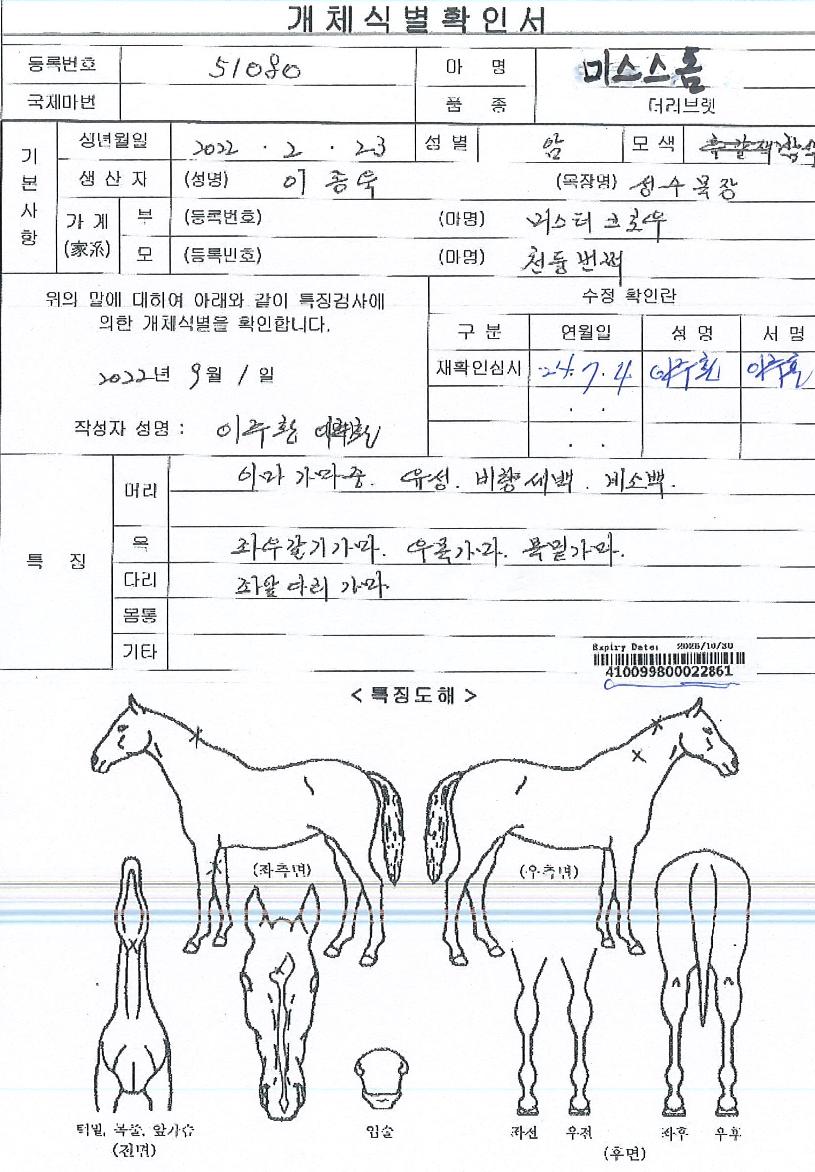 ¹Ì½º½ºÅèÀÇ Ãø¸é,¿ì¸é,µÞ¸é,µÎ»ó,´Ù¸®ÀÇ Æ¯Â¡µµÇØ