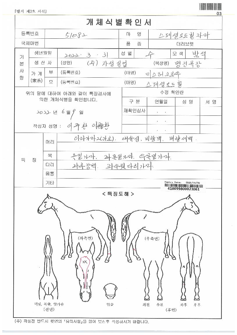 źź´ë·ÎÀÇ Ãø¸é,¿ì¸é,µÞ¸é,µÎ»ó,´Ù¸®ÀÇ Æ¯Â¡µµÇØ