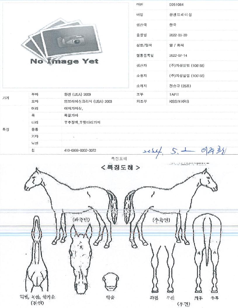 �Ѽ��극�̽��� ����,���,�޸�,�λ�,�ٸ��� Ư¡����