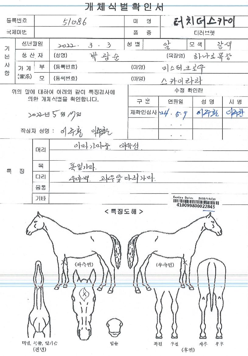 ÅÍÄ¡´õ½ºÄ«ÀÌÀÇ Ãø¸é,¿ì¸é,µÞ¸é,µÎ»ó,´Ù¸®ÀÇ Æ¯Â¡µµÇØ