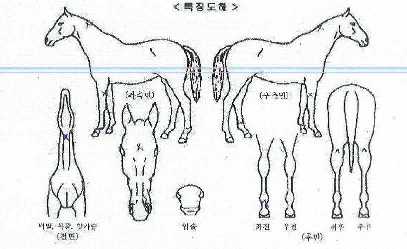 ȯ���ũ�� ����,���,�޸�,�λ�,�ٸ��� Ư¡����