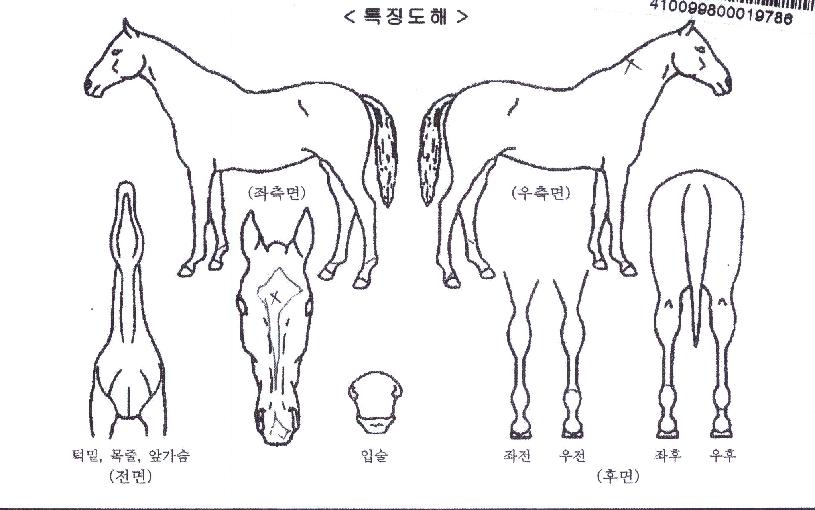 �Ѱ����丮�� ����,���,�޸�,�λ�,�ٸ��� Ư¡����