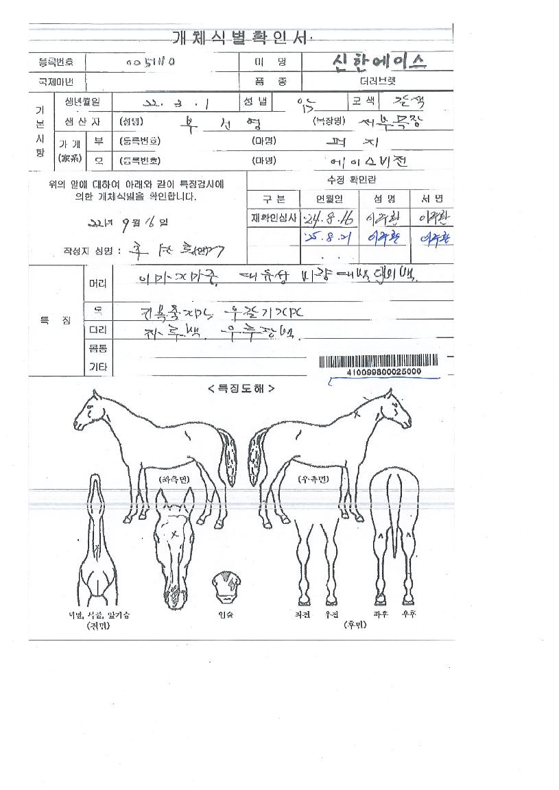 ½ÅÇÑ¿¡À̽ºÀÇ Ãø¸é,¿ì¸é,µÞ¸é,µÎ»ó,´Ù¸®ÀÇ Æ¯Â¡µµÇØ