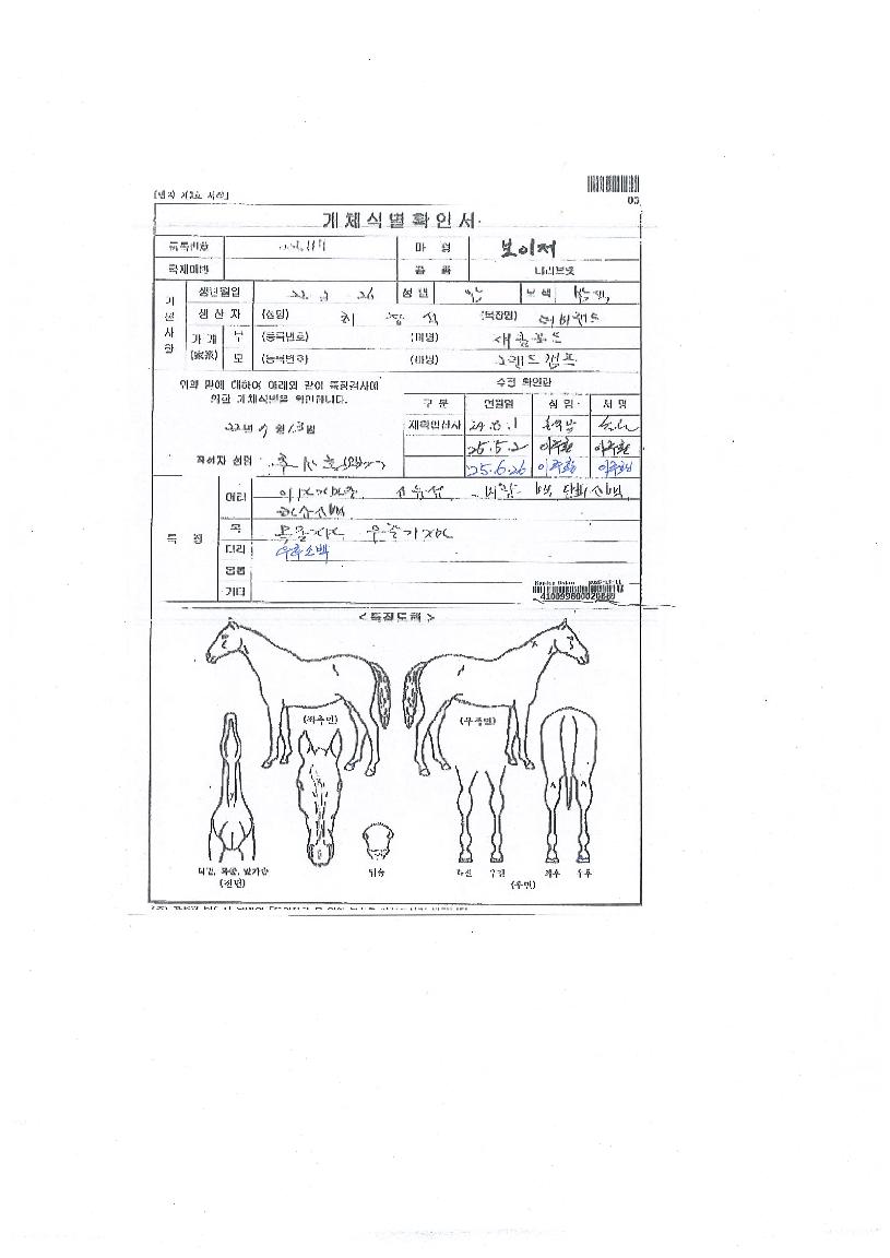 º¸ÀÌÀúÀÇ Ãø¸é,¿ì¸é,µÞ¸é,µÎ»ó,´Ù¸®ÀÇ Æ¯Â¡µµÇØ