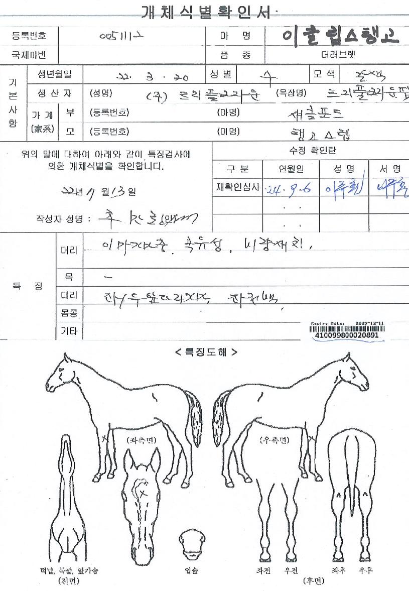 ÀÌŬ¸³½ºÅʰíÀÇ Ãø¸é,¿ì¸é,µÞ¸é,µÎ»ó,´Ù¸®ÀÇ Æ¯Â¡µµÇØ