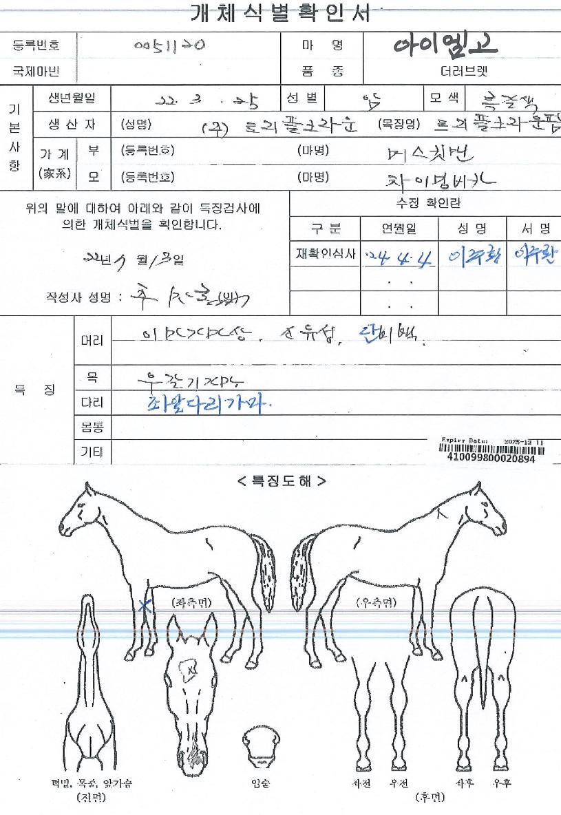 ���̿����� ����,���,�޸�,�λ�,�ٸ��� Ư¡����