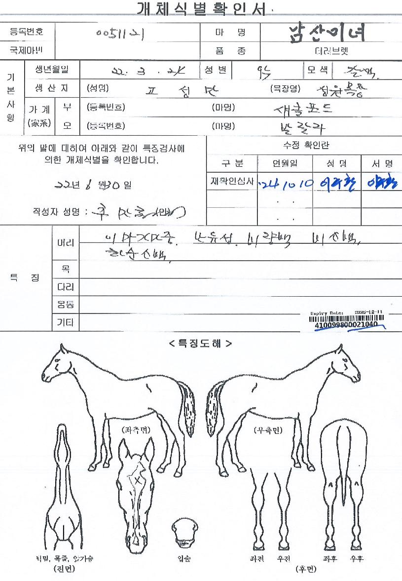 ����̳��� ����,���,�޸�,�λ�,�ٸ��� Ư¡����