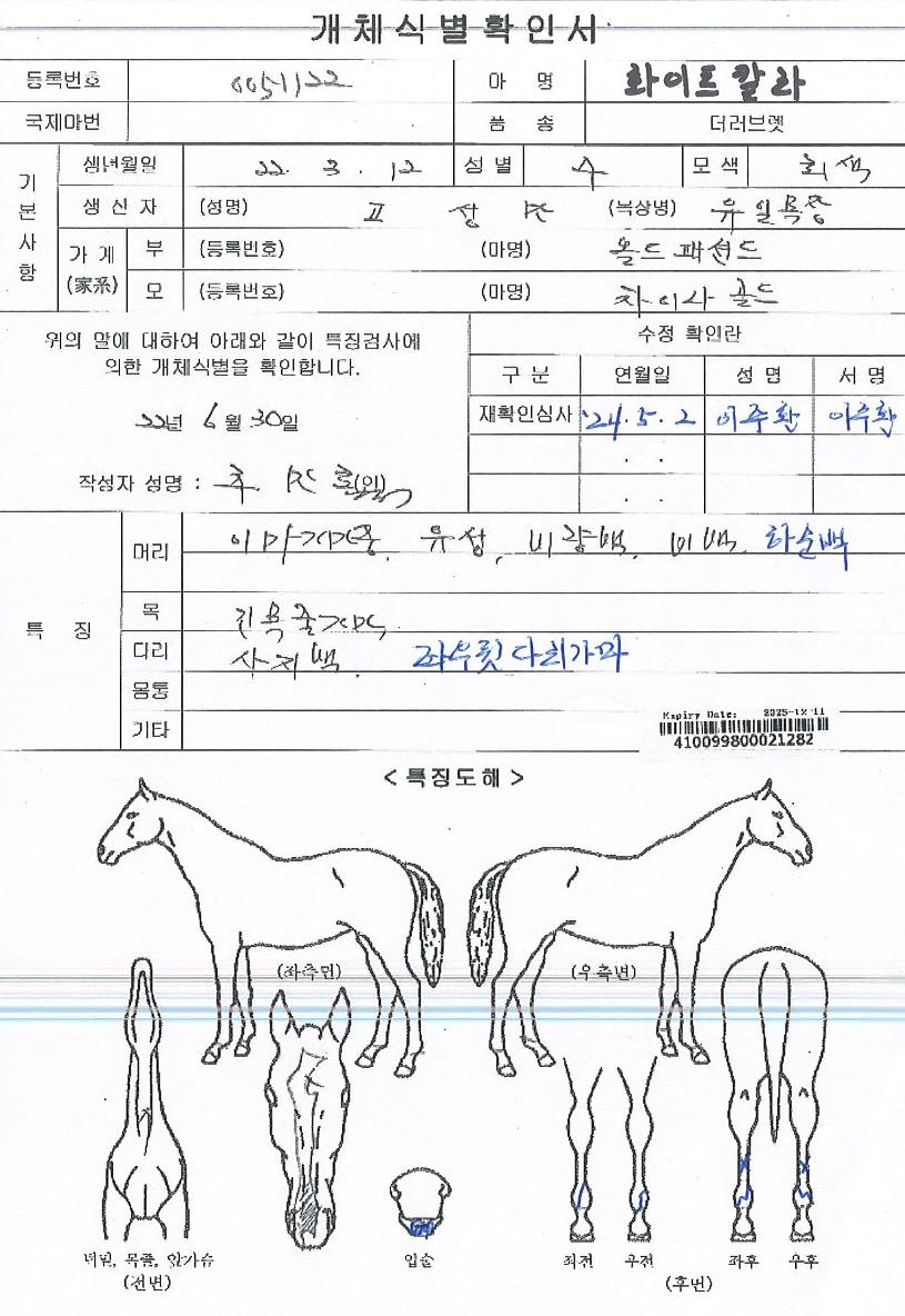 ȭ��ƮĮ���� ����,���,�޸�,�λ�,�ٸ��� Ư¡����