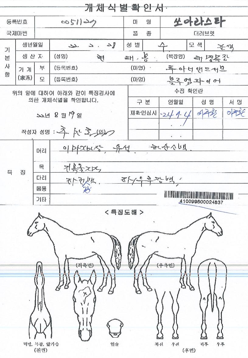 ��ƶ�Ÿ�� ����,���,�޸�,�λ�,�ٸ��� Ư¡����