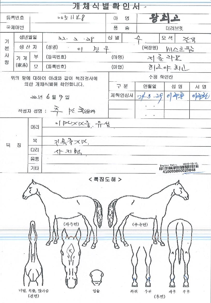 ���ְ��� ����,���,�޸�,�λ�,�ٸ��� Ư¡����