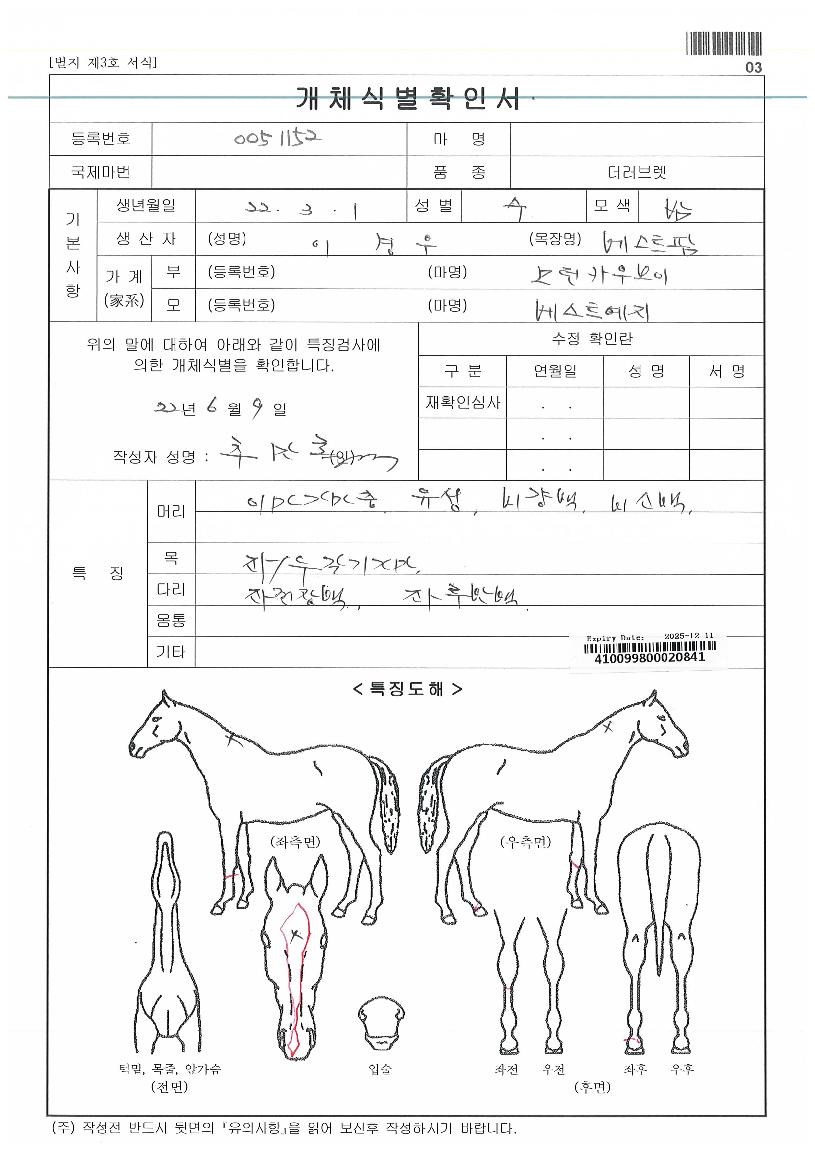 ½ºÇǵ庸ÀÌÀÇ Ãø¸é,¿ì¸é,µÞ¸é,µÎ»ó,´Ù¸®ÀÇ Æ¯Â¡µµÇØ