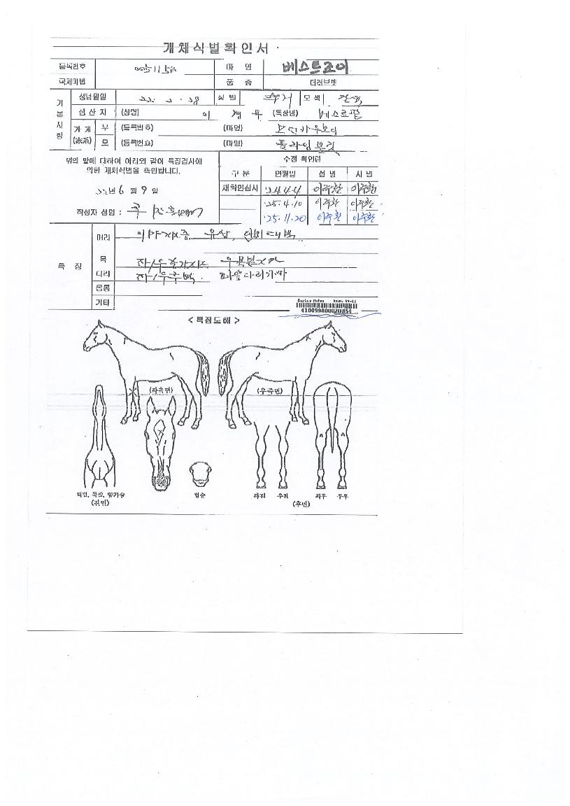 º£½ºÆ®Á¶ÀÌÀÇ Ãø¸é,¿ì¸é,µÞ¸é,µÎ»ó,´Ù¸®ÀÇ Æ¯Â¡µµÇØ