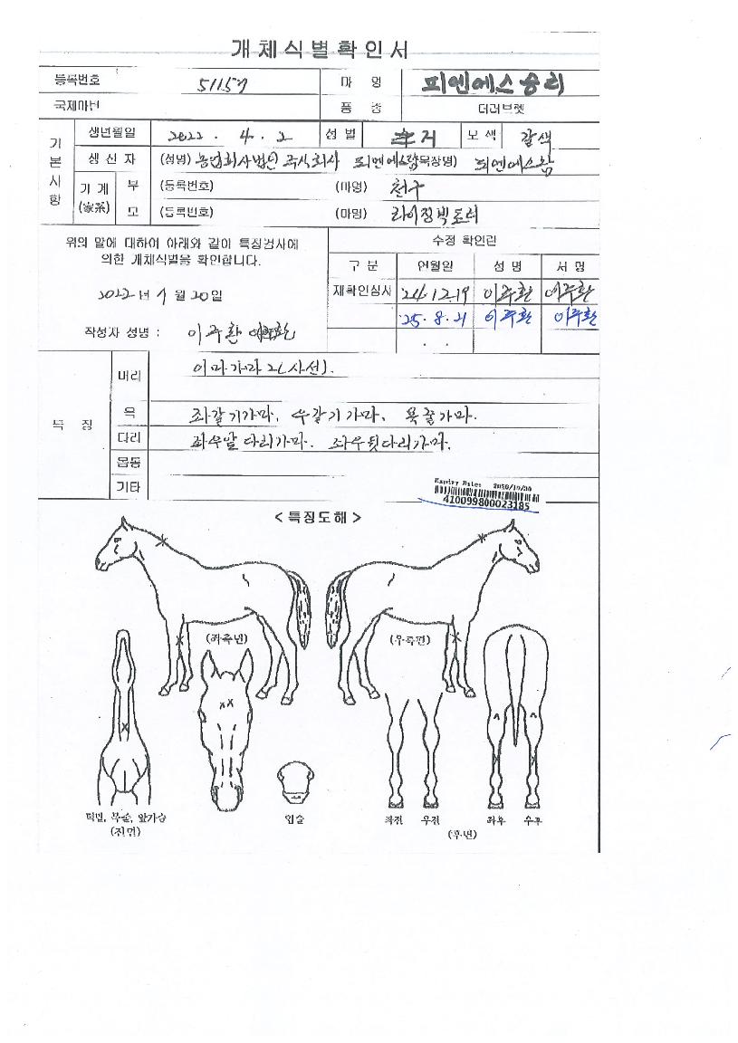 ÇÇ¿£¿¡½º½Â¸®ÀÇ Ãø¸é,¿ì¸é,µÞ¸é,µÎ»ó,´Ù¸®ÀÇ Æ¯Â¡µµÇØ