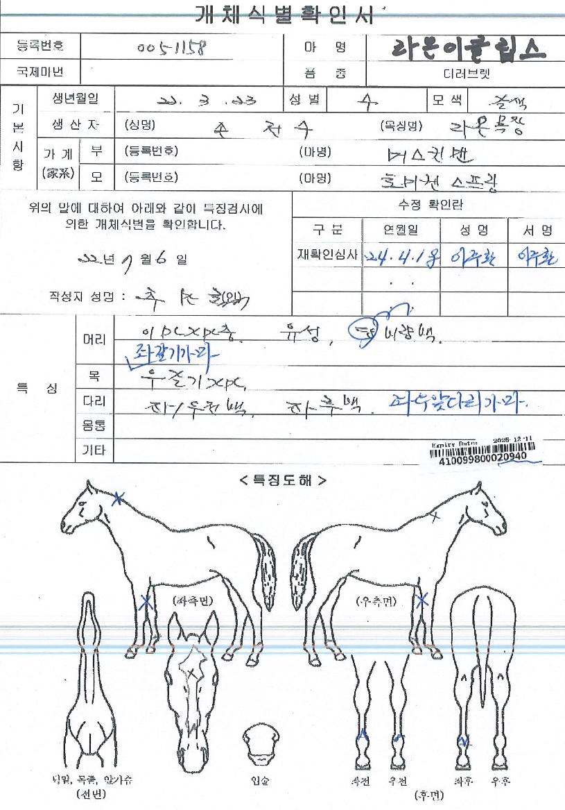 ¶ó¿ÂÀÌŬ¸³½ºÀÇ Ãø¸é,¿ì¸é,µÞ¸é,µÎ»ó,´Ù¸®ÀÇ Æ¯Â¡µµÇØ