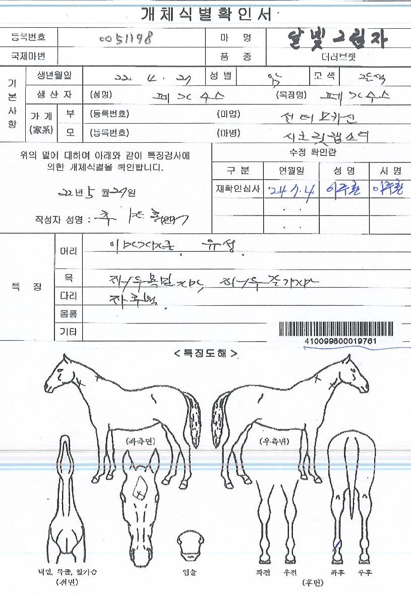 �޺��׸����� ����,���,�޸�,�λ�,�ٸ��� Ư¡����