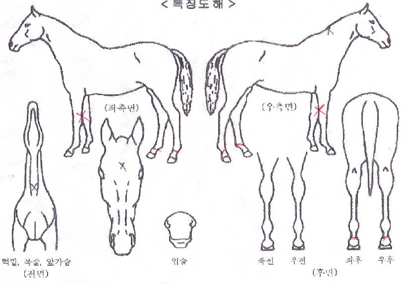 �̽��Ϳ����� ����,���,�޸�,�λ�,�ٸ��� Ư¡����