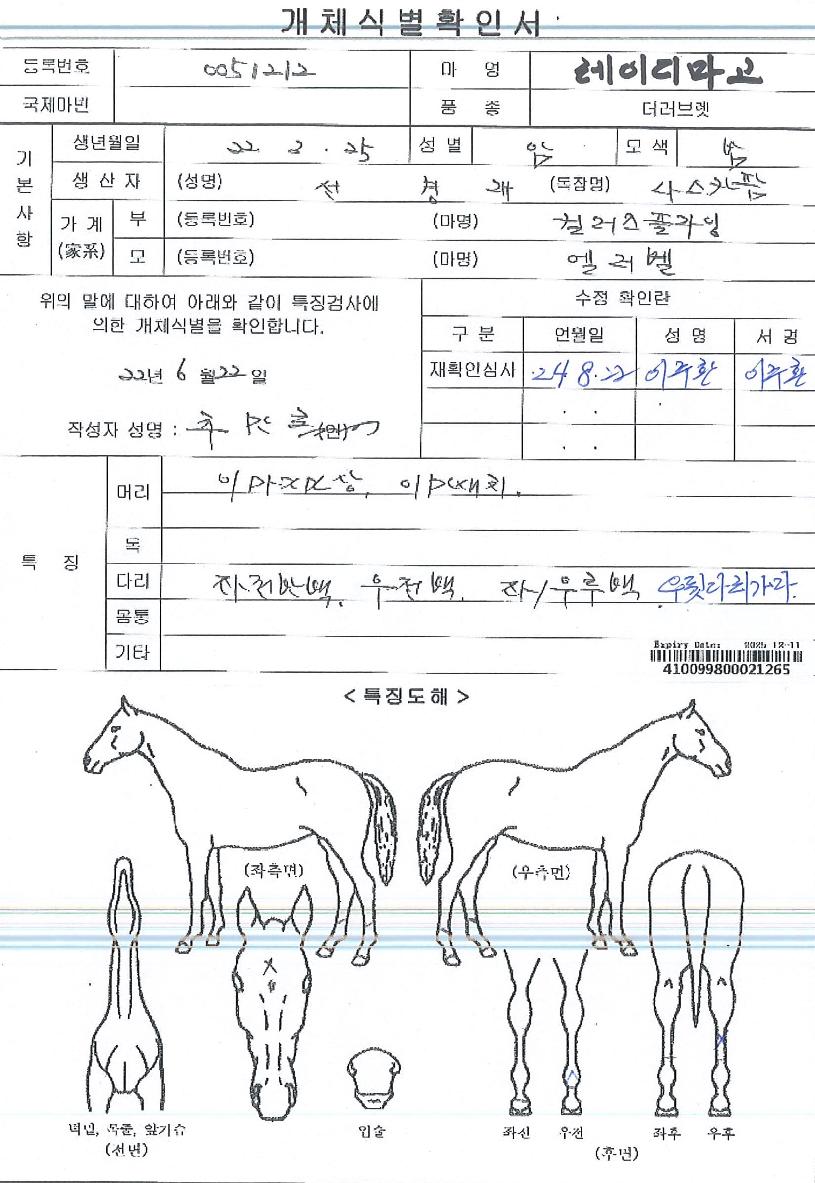 ·¹À̵𸶰íÀÇ Ãø¸é,¿ì¸é,µÞ¸é,µÎ»ó,´Ù¸®ÀÇ Æ¯Â¡µµÇØ