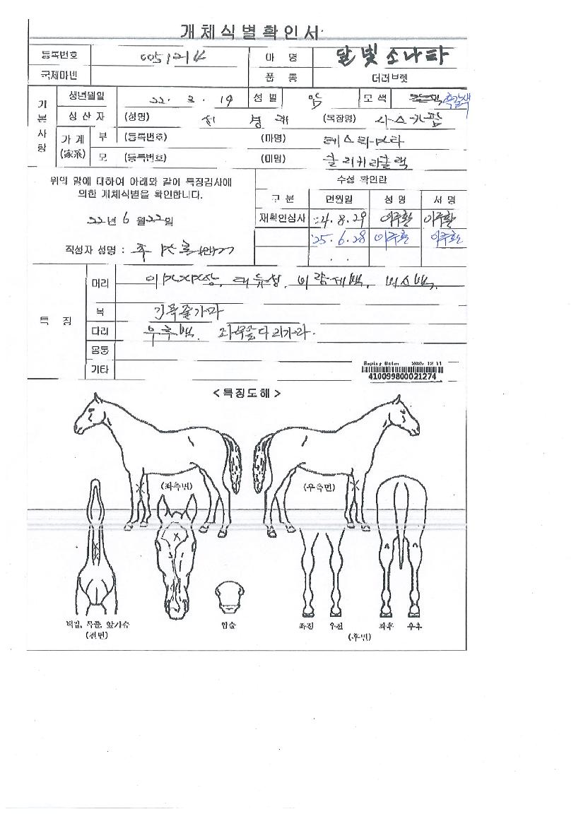 ´Þºû¼Ò³ªÅ¸ÀÇ Ãø¸é,¿ì¸é,µÞ¸é,µÎ»ó,´Ù¸®ÀÇ Æ¯Â¡µµÇØ