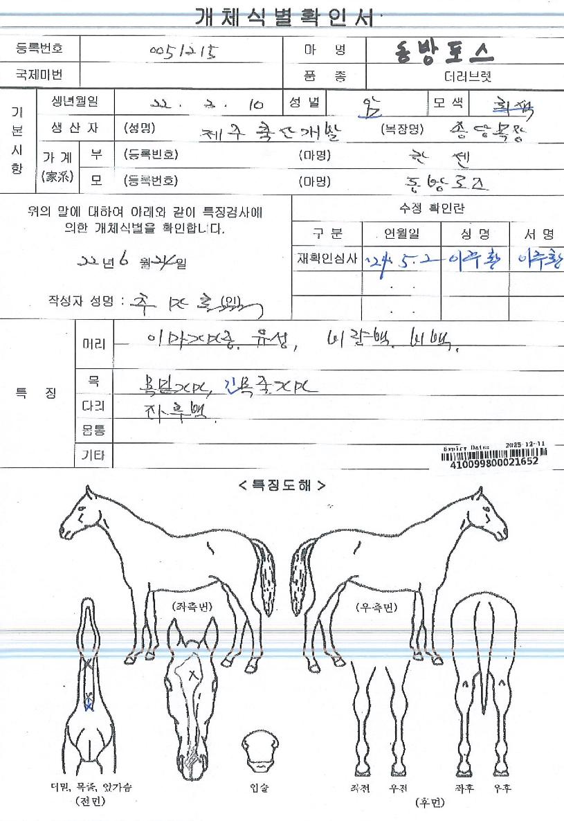 ���������� ����,���,�޸�,�λ�,�ٸ��� Ư¡����