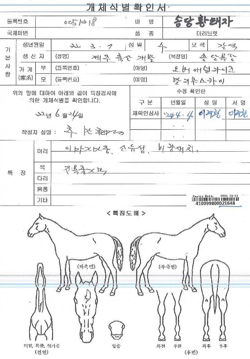 �۴�Ȳ������ ����,���,�޸�,�λ�,�ٸ��� Ư¡����