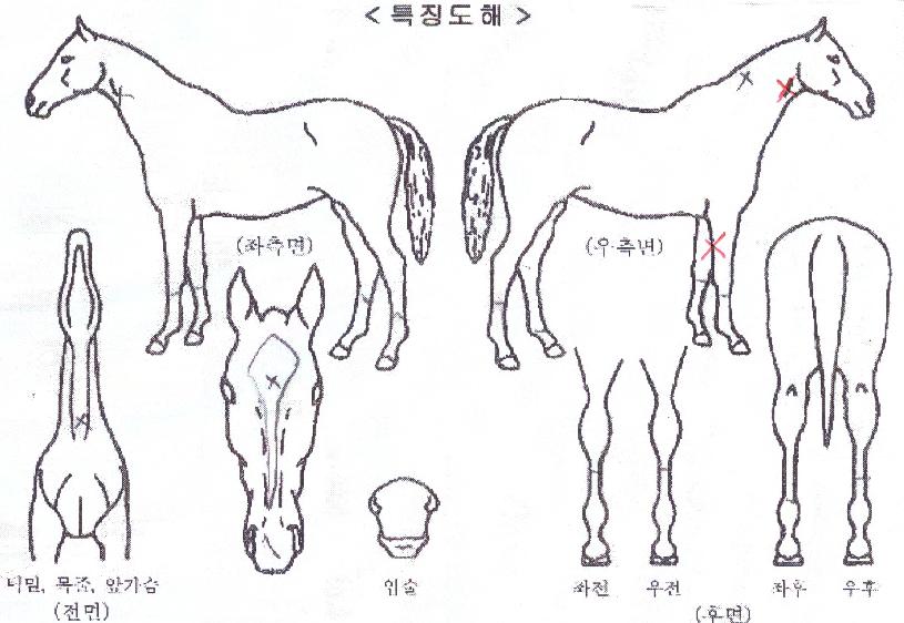 �ö������ ����,���,�޸�,�λ�,�ٸ��� Ư¡����