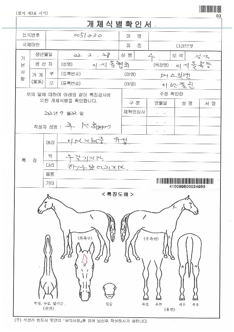 ¹êÁöÀÇ Ãø¸é,¿ì¸é,µÞ¸é,µÎ»ó,´Ù¸®ÀÇ Æ¯Â¡µµÇØ