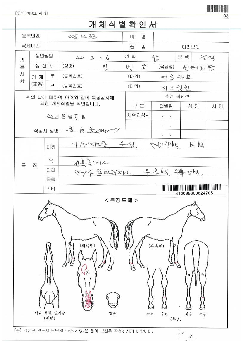 ·¹À̽ºÄýÀÇ Ãø¸é,¿ì¸é,µÞ¸é,µÎ»ó,´Ù¸®ÀÇ Æ¯Â¡µµÇØ