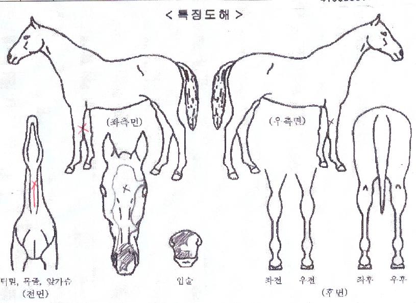 ���������� ����,���,�޸�,�λ�,�ٸ��� Ư¡����