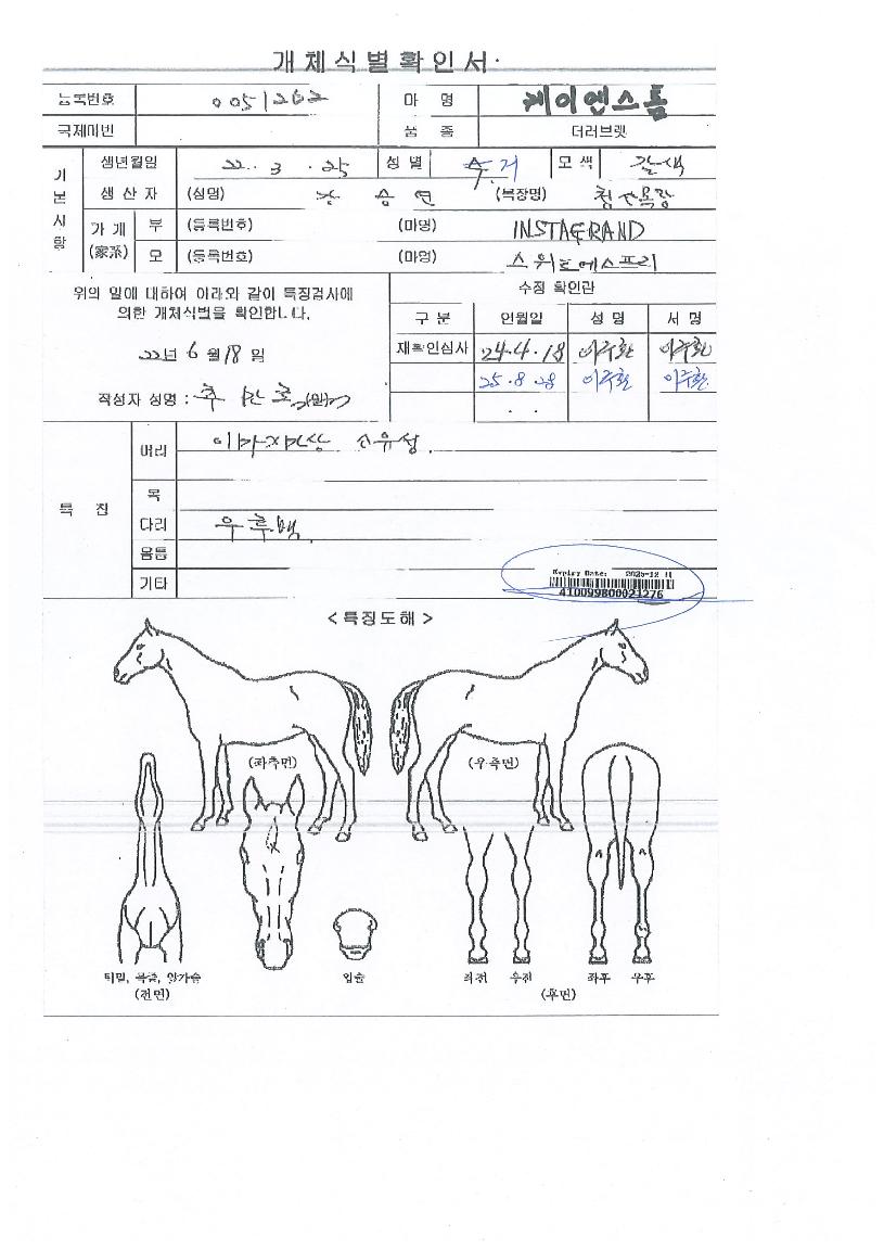 ���̿������� ����,���,�޸�,�λ�,�ٸ��� Ư¡����